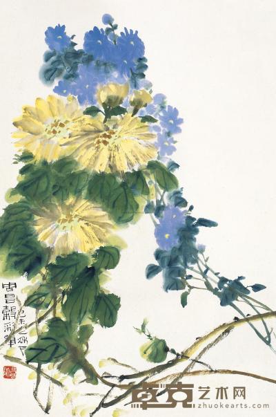周昌谷 己未（1979年）作 菊花 镜片 58×45.5cm