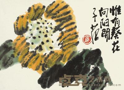 崔子范 葵花 镜心 24.5×33cm