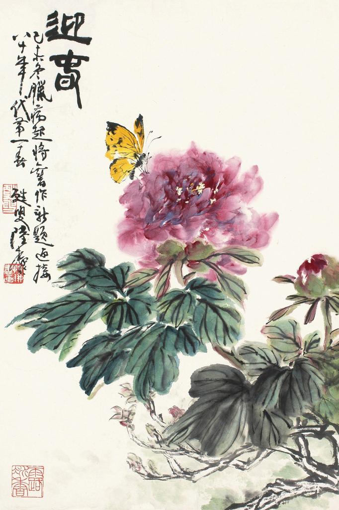 陆抑非 迎春 镜片