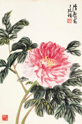 陆抑非 牡丹