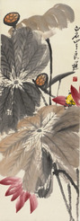 齐良迟 花卉