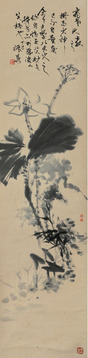 吴振华 花卉