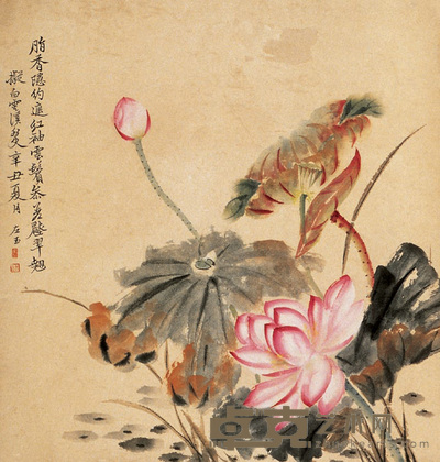 庞左玉 荷花 立轴 55×53cm