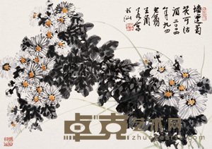 王兰若 菊花 镜心 50×69cm
