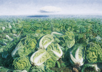 薛志国 2006年作 白菜与远方的云