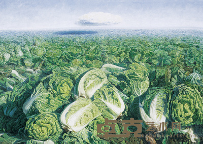 薛志国 2006年作 白菜与远方的云 73×100cm
