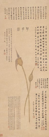 程瑶田 1797年作 芋花图 立轴