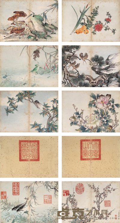 蒋廷锡 花卉 册页（八开） 16×22.5cm×8