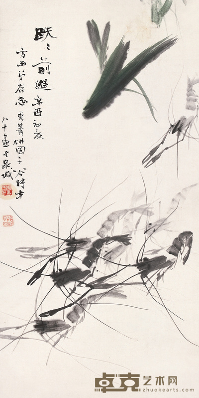 柳子谷 1981年作 虾 轴 68×35cm
