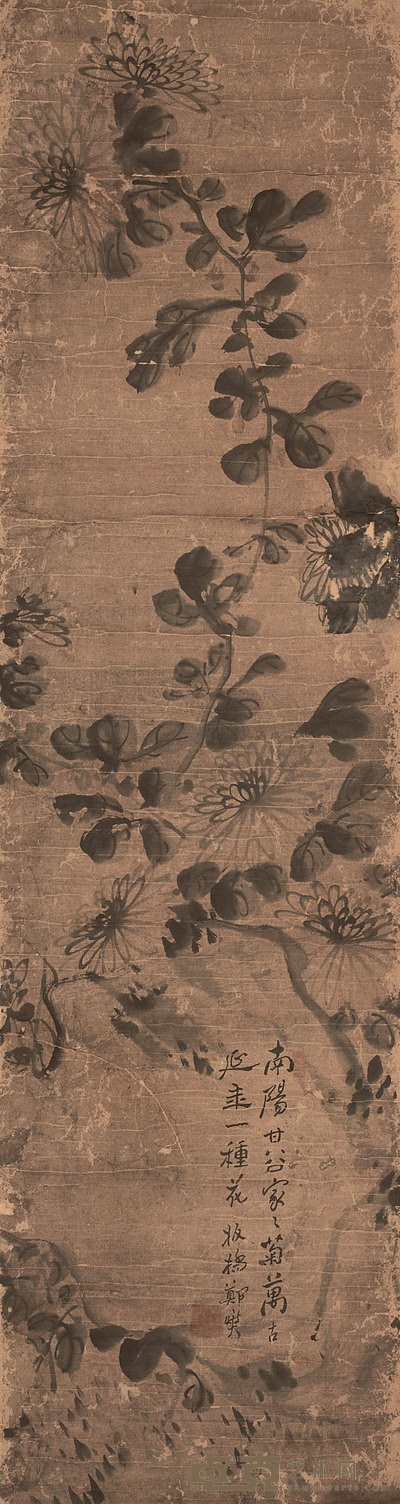 郑板桥 菊 轴 105×28cm