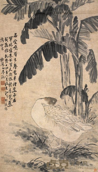 李鱓 蕉荫睡鹅图 立轴 127×73cm