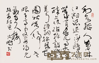 沈鹏 行书 镜心 48×76cm