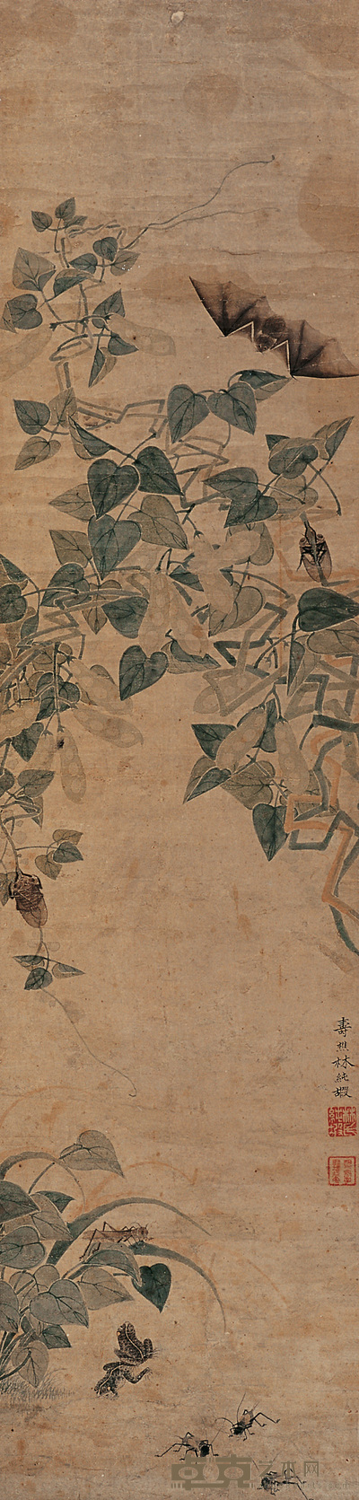 林纯嘏 工笔草虫 立轴 106×26cm