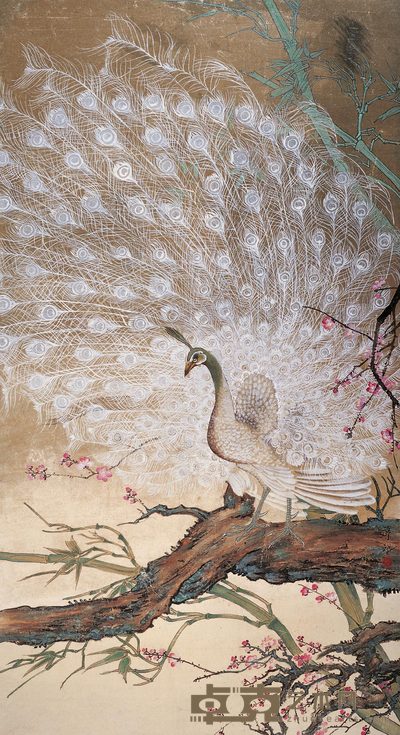 胡藻斌 白孔雀 立轴 170×92cm