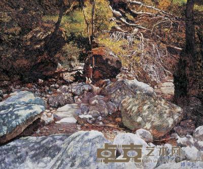 谭涤夫 1993年 树影斑斓 53×64cm