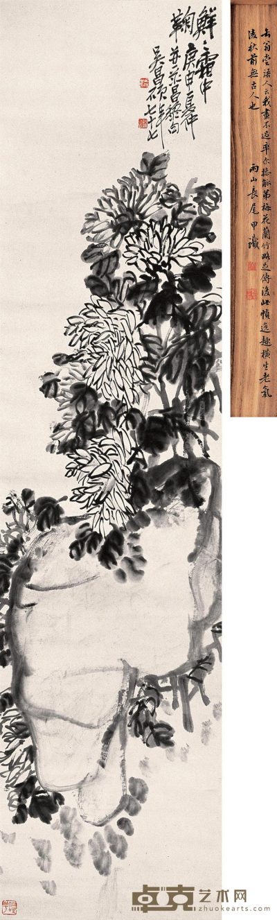 吴昌硕 1920年作 菊石图 立轴 138×34cm