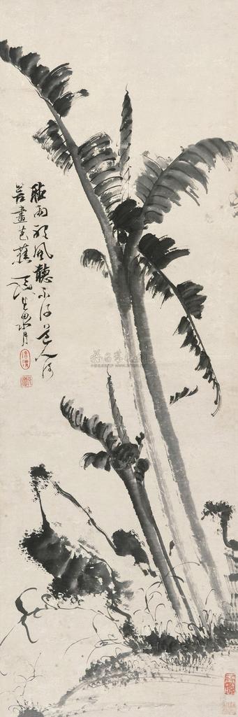 徐渭 芭蕉寿石 立轴