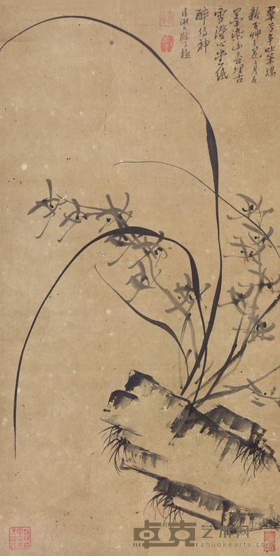 石涛 兰石图 立轴 58×30cm