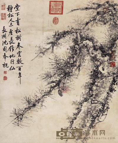 沈周 松树 立轴 85×70cm