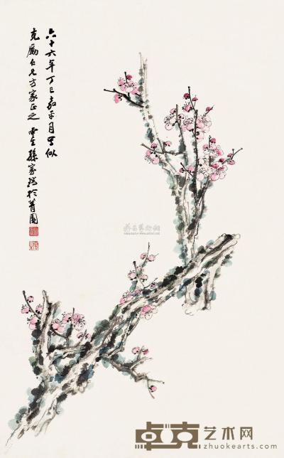 孙云生 丁巳（1977）年作 梅花 立轴 77×48cm