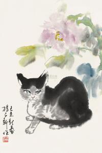 杨正新 己未（1979）年作 猫 镜片