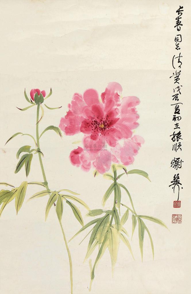 谢稚柳 戊辰（1988年）作 芍药 镜心