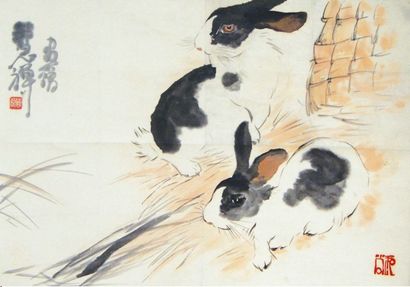 史国良 白兔