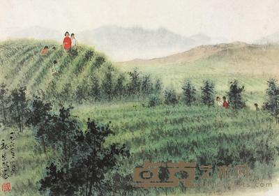 魏紫熙 1961年作 采茶图 镜心 39.5×28cm