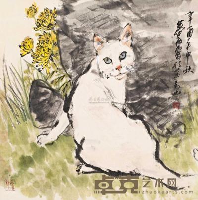 黄胄 辛酉（1981）年作 丛菊白猫 镜心 68.5×68.5cm