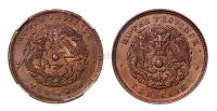 1902湖北省造光绪元宝十文铜币一枚