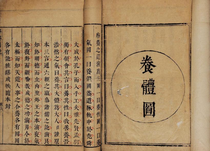 杨观 明 睿养图说