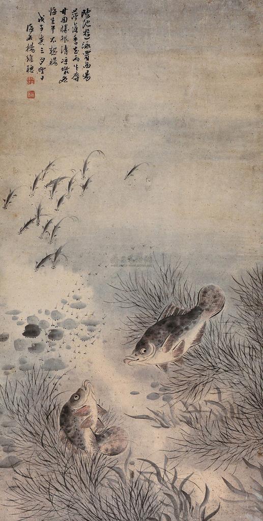 杨维聪 游鱼图 立轴
