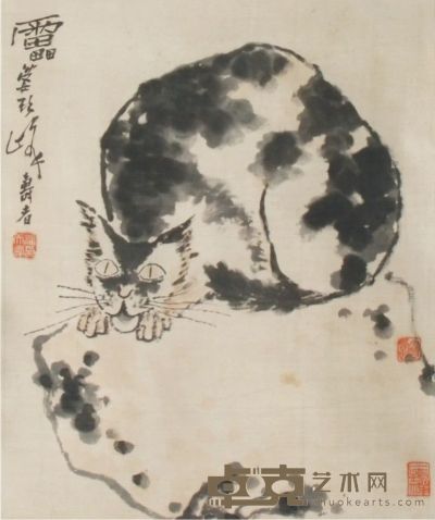 潘天寿 猫石 立轴 44×36