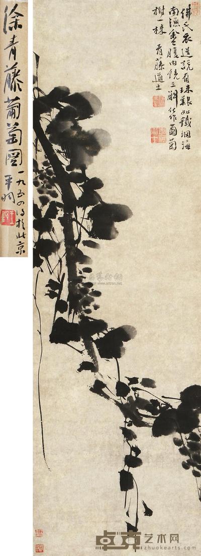 徐渭 墨葡萄图 立轴 96×29.2cm