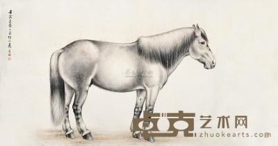 马晋 1962年作 白马 横幅 92.5×174cm