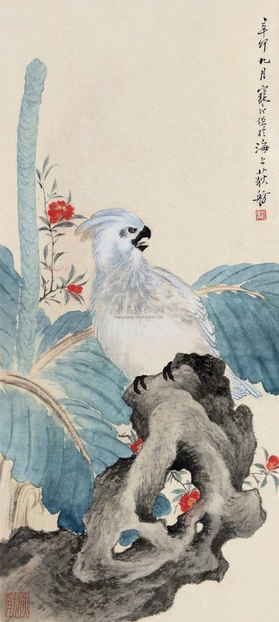 江寒汀 辛卯（1951）年作 蕉石鹦鹉 立轴