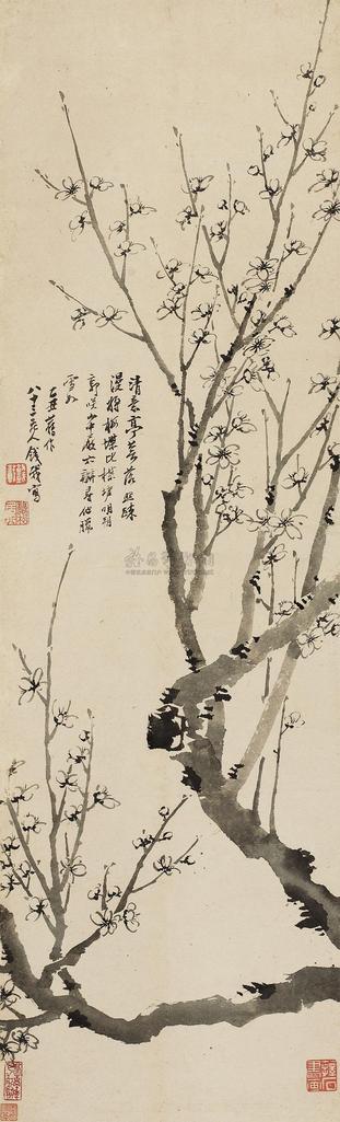 钱载 1745年作 梅花 立轴