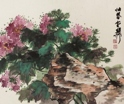 谢稚柳 芙蓉 镜片