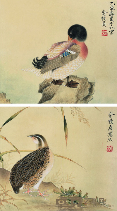 俞致贞 禽鸟二开 26×29.5×2 每幅0.7*2