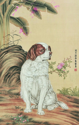 马晋 犬