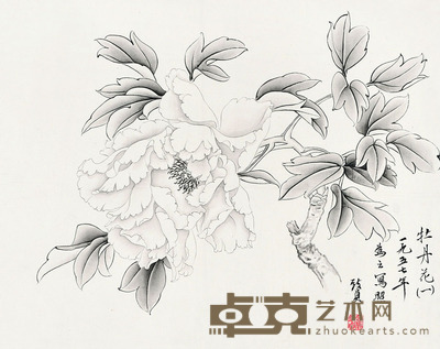 俞致贞 牡丹花 34.5×43 每幅1.3