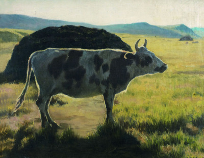 张义波 草原中的牛