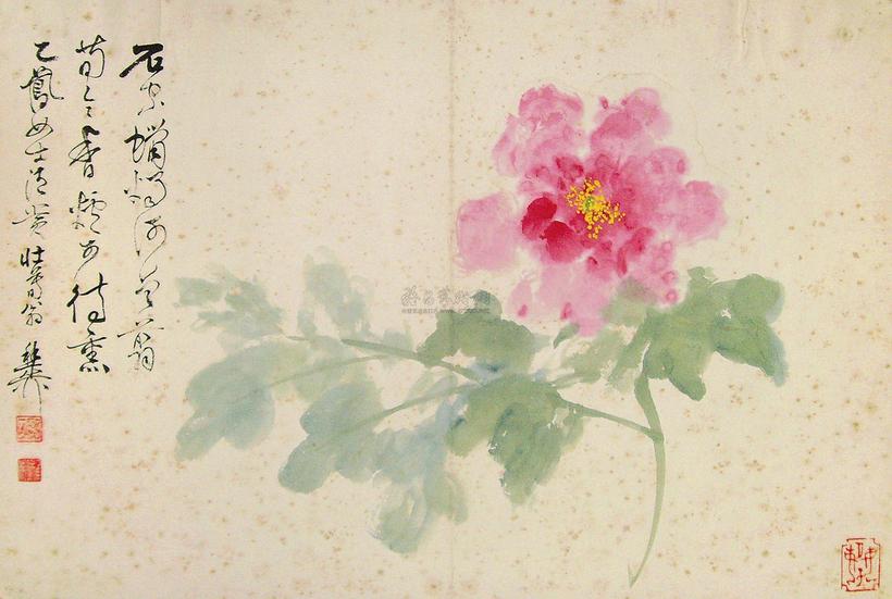 谢稚柳 牡丹 镜框