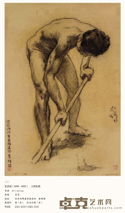 人体素描 49×32.5cm