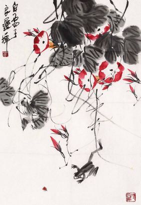 齐良迟 花卉 软片