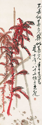 老来红镜片