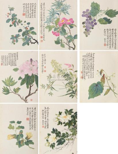 汪褆 花卉册 册页