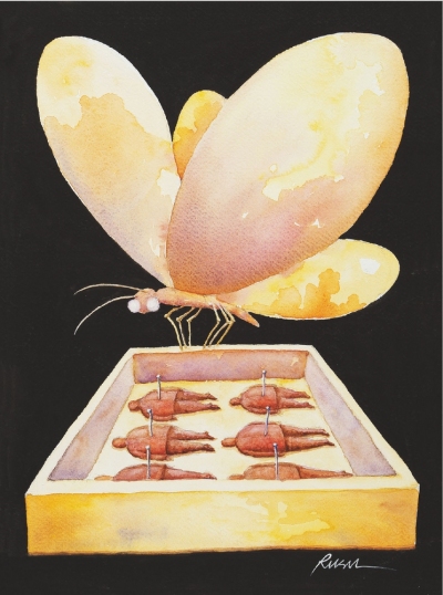 罗马尼亚 — 罗素·加布里埃尔（b.1969） 蝴蝶的标本