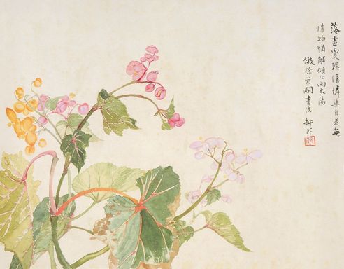 陆抑非 花鸟 镜片
