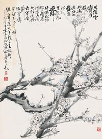 于希宁 白梅 镜片